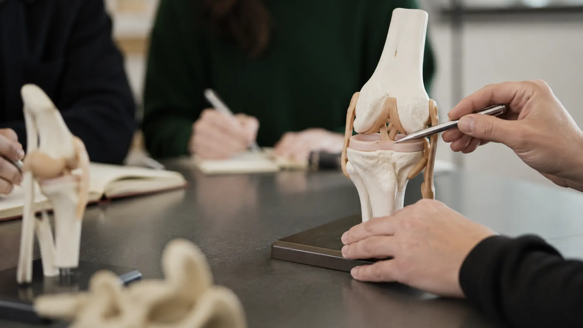 Modelo anatômico de joelho em treinamento médico